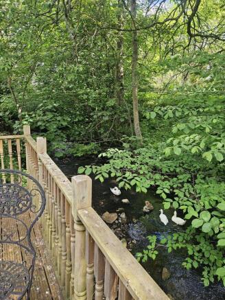 Property Image 36