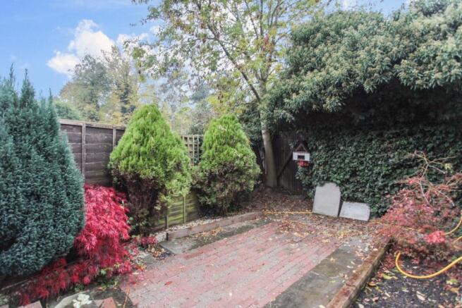 Photo 15