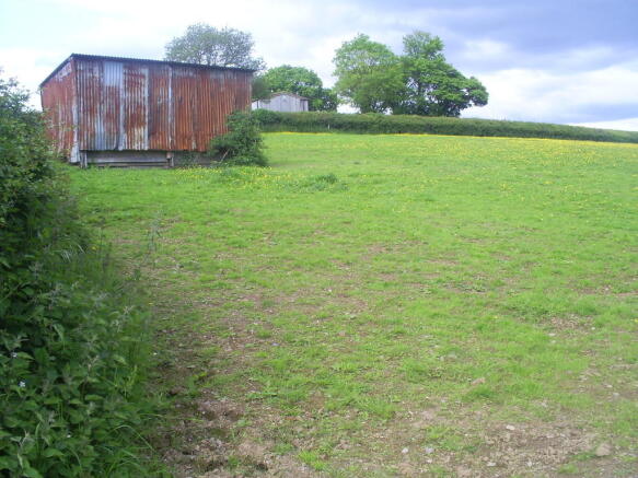 Photo 5
