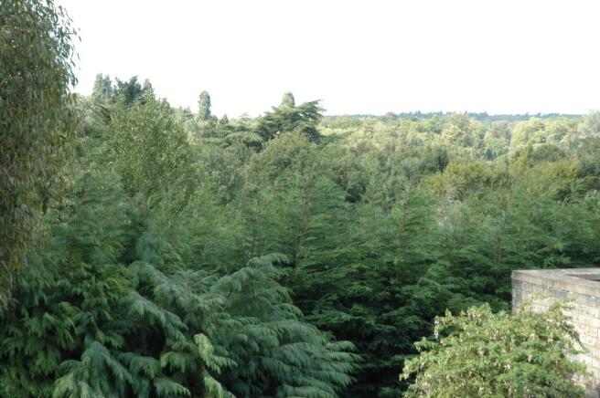Views over Ascot