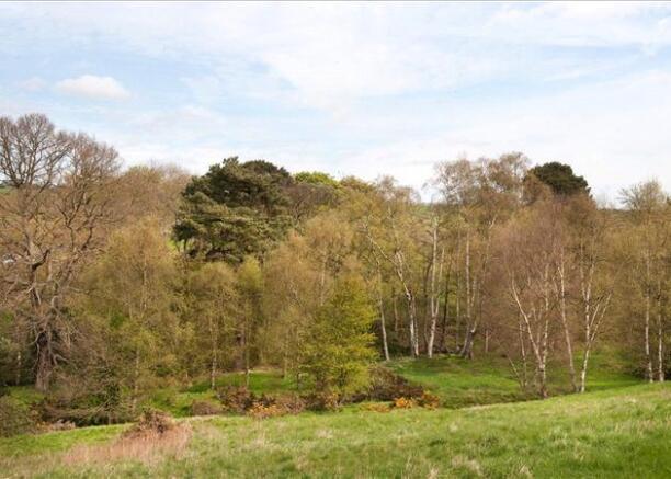 Paddock and Woodland