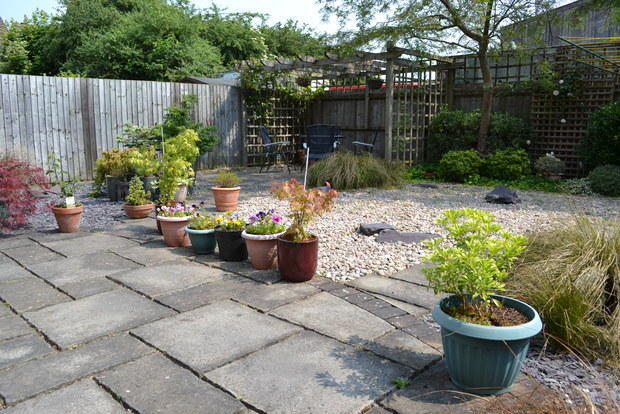 Photo 5