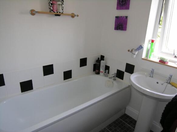 Photo 5