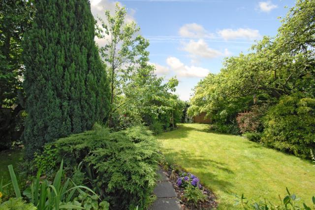 Stunning Rear Garden