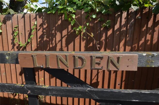 Linden