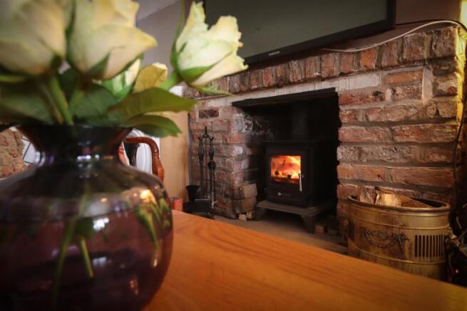 Feature Fire