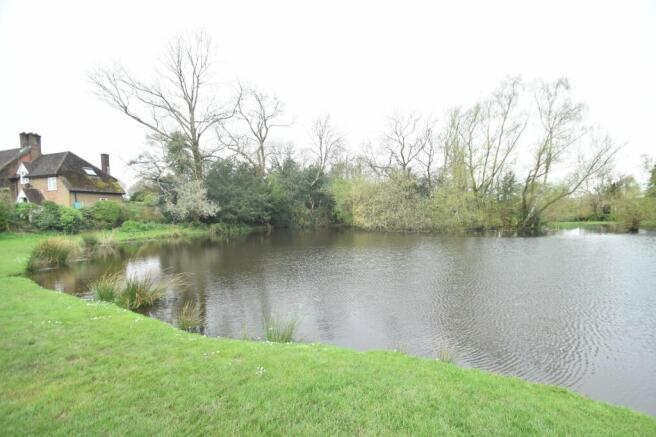 Village Pond