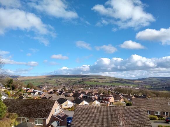 Panoramic Rear Views
