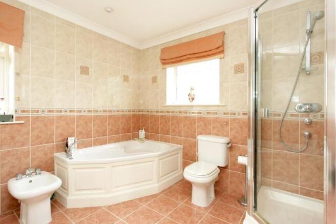 Photo 11