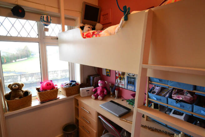 Picture 7