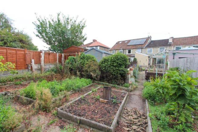 Garden 2.jpg
