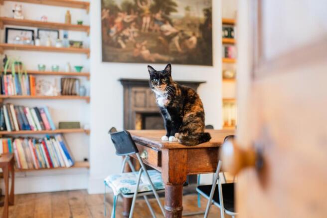 Award-winning Media team on EVERY Listing_17