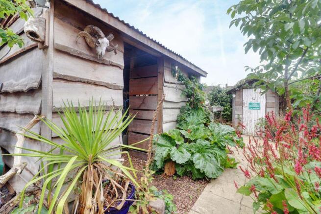 Garden at Back