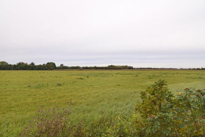 Field Views to Si...