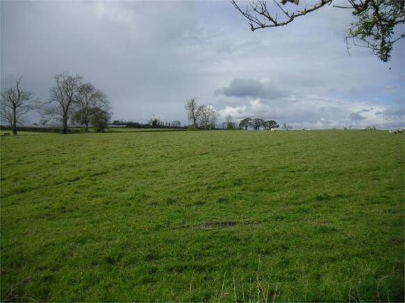 Photograph 13