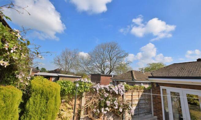 Views From Garden