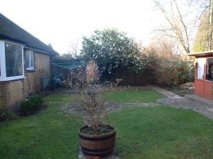 Rear Garden 2