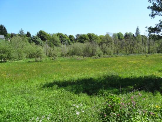 Sanctuary Moor Aspec
