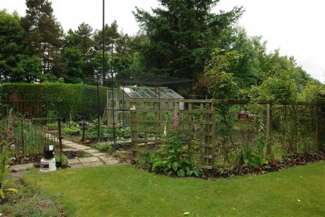 Rear Gardens
