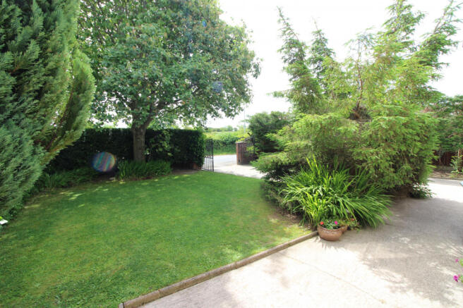 Photo 22