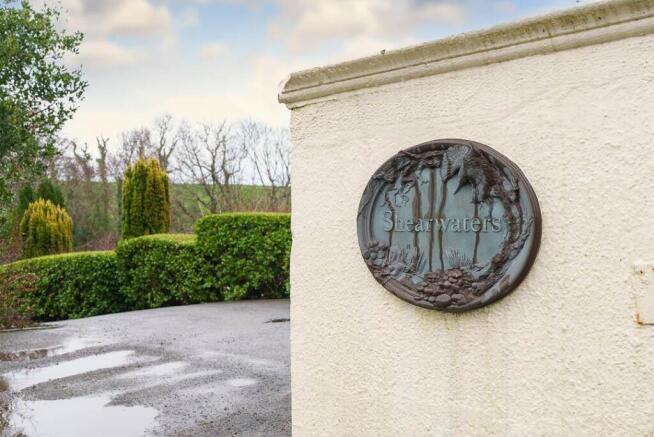 Shearwaters (41).jpg