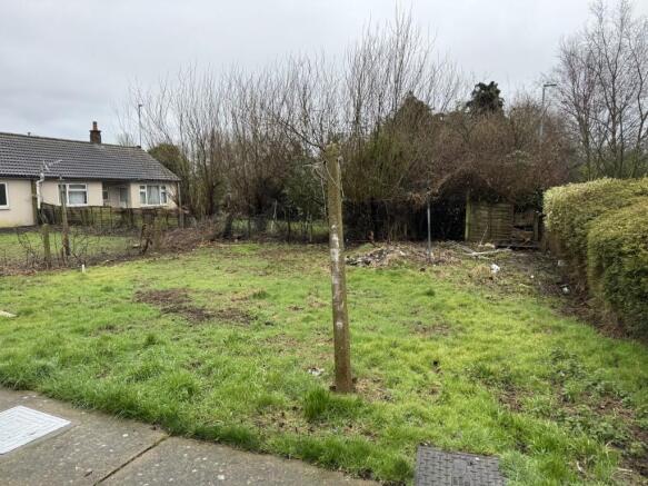 20260204 094910681 IOS  Medium  T202602051625.jpg