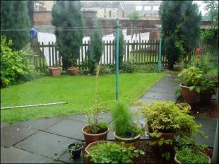 Communal Rear Garden