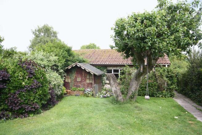 Garden 1