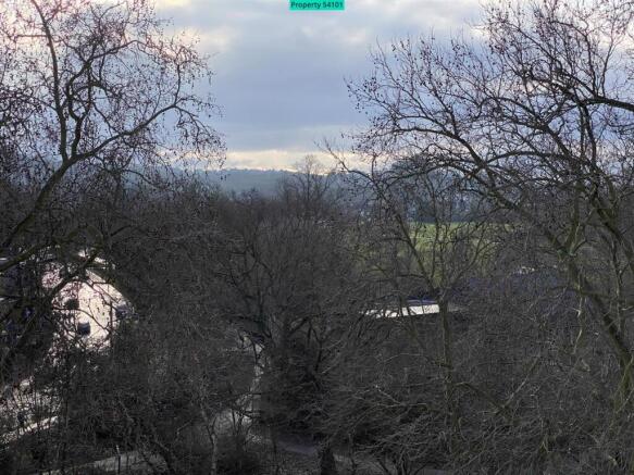 Views of the park