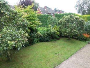 Mature rear garden