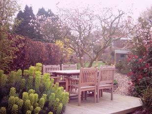 Rear garden