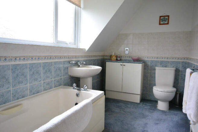 Picture 8