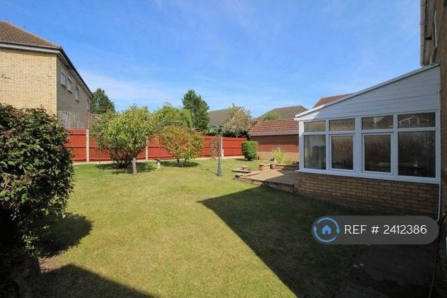 Back Garden