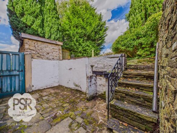 Rear Yard Area