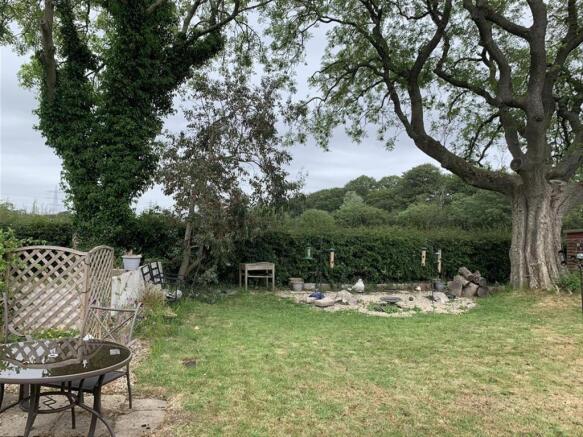 Rear garden 2