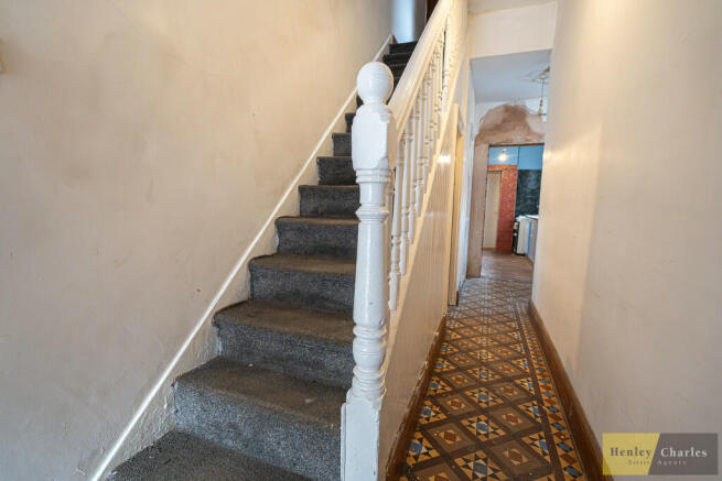 20241118-DSC01354...