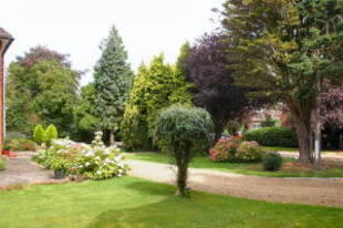 Photo 11