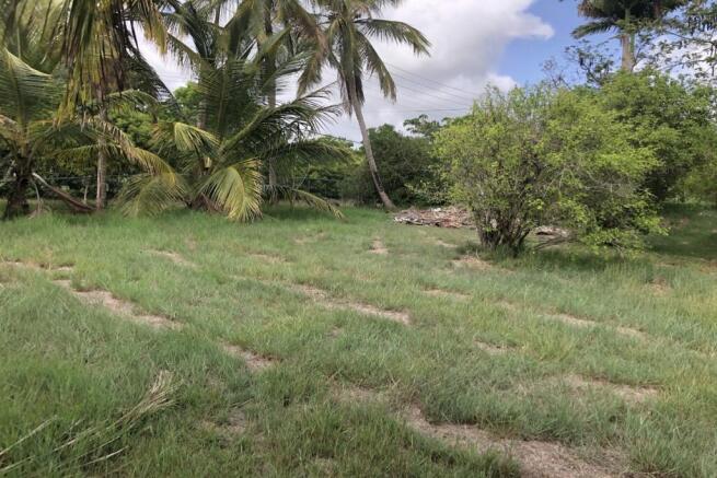 Rowans_5A4_Land_for_Sale.jpg