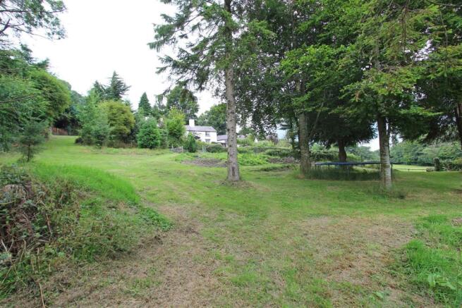 Garden..jpg