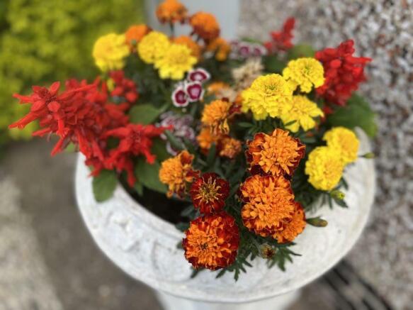 front flowers.jpg