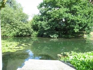 Pond garden