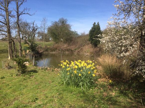 POND