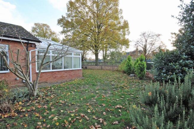 IMG_8500.JPG