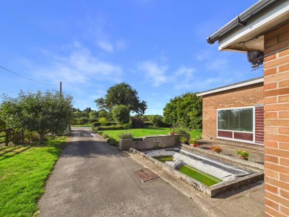 Driveway/Front Garden