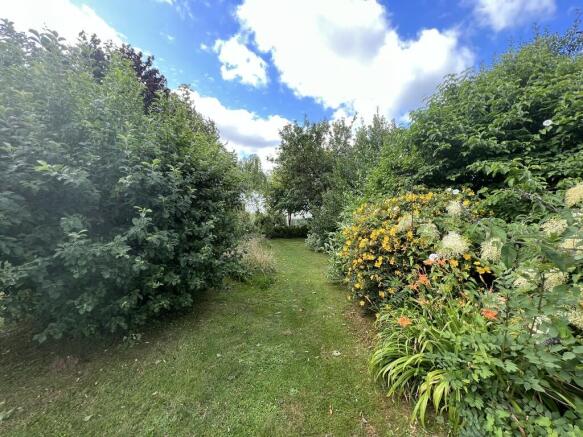 Garden 5
