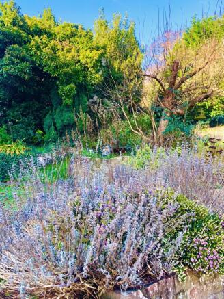 Garden 2