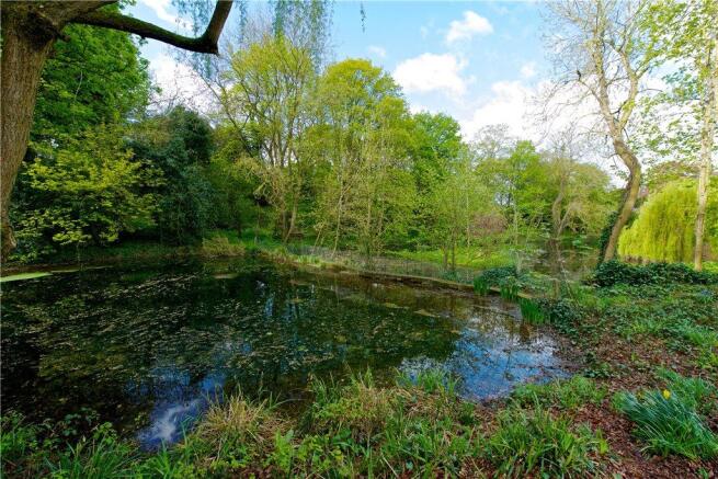 Pond