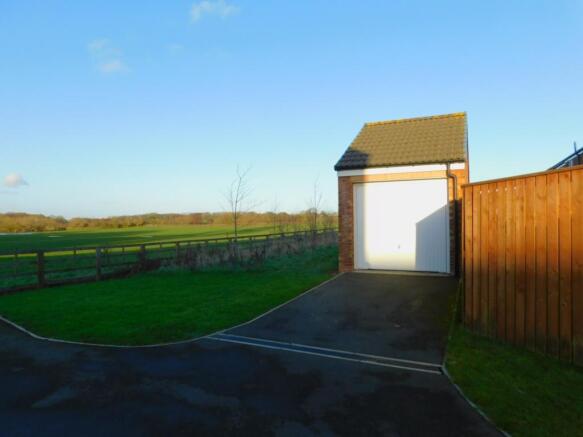 28 buttercup close (20)