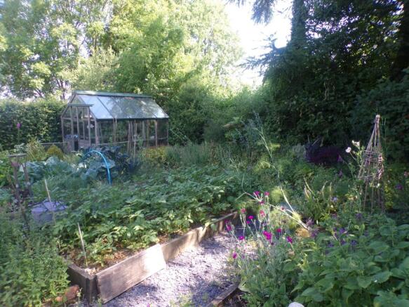 Veg plot