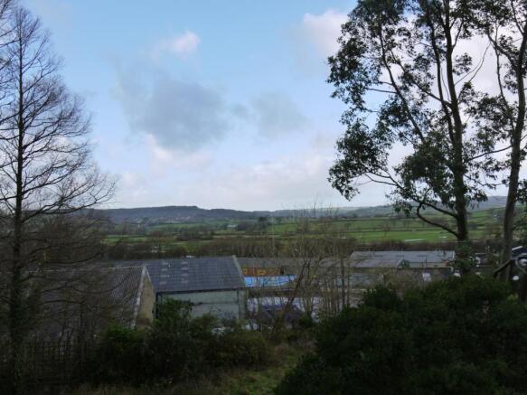 Garden / View